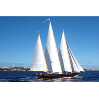 $250 The Bermuda Sloop Charitable Contribution