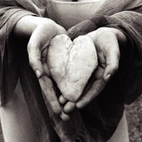 $50 The Adult Education Centre Charitable Contribution